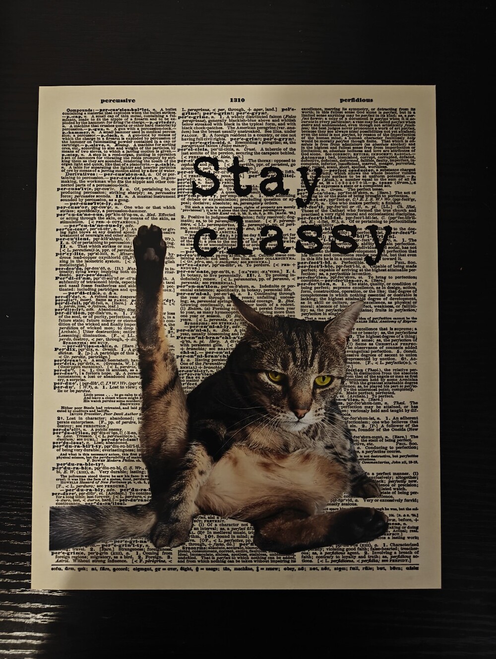 Stay classy Funny Cat Sign